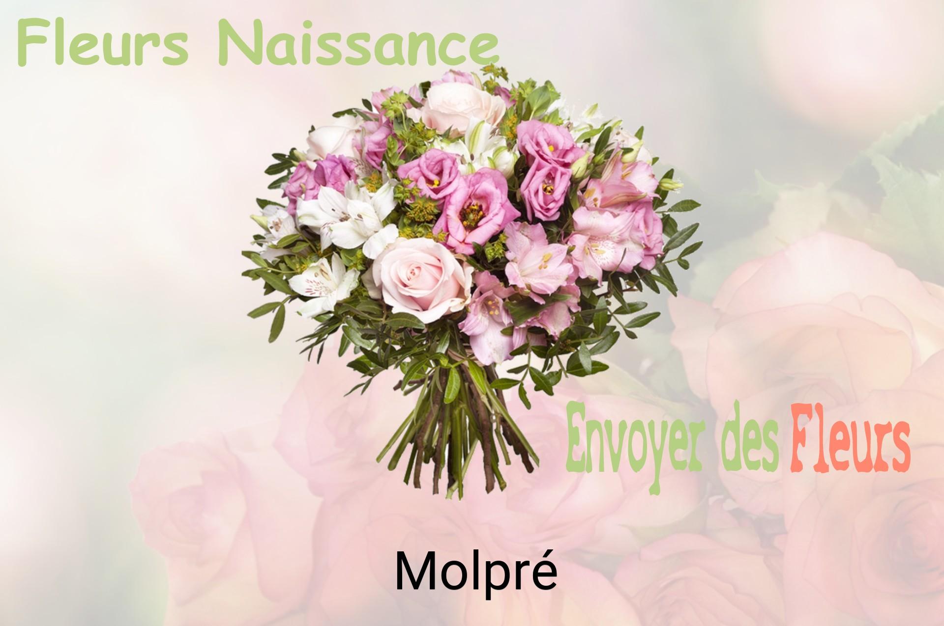 Bouquet de fleurs de naissance livré à Molpré