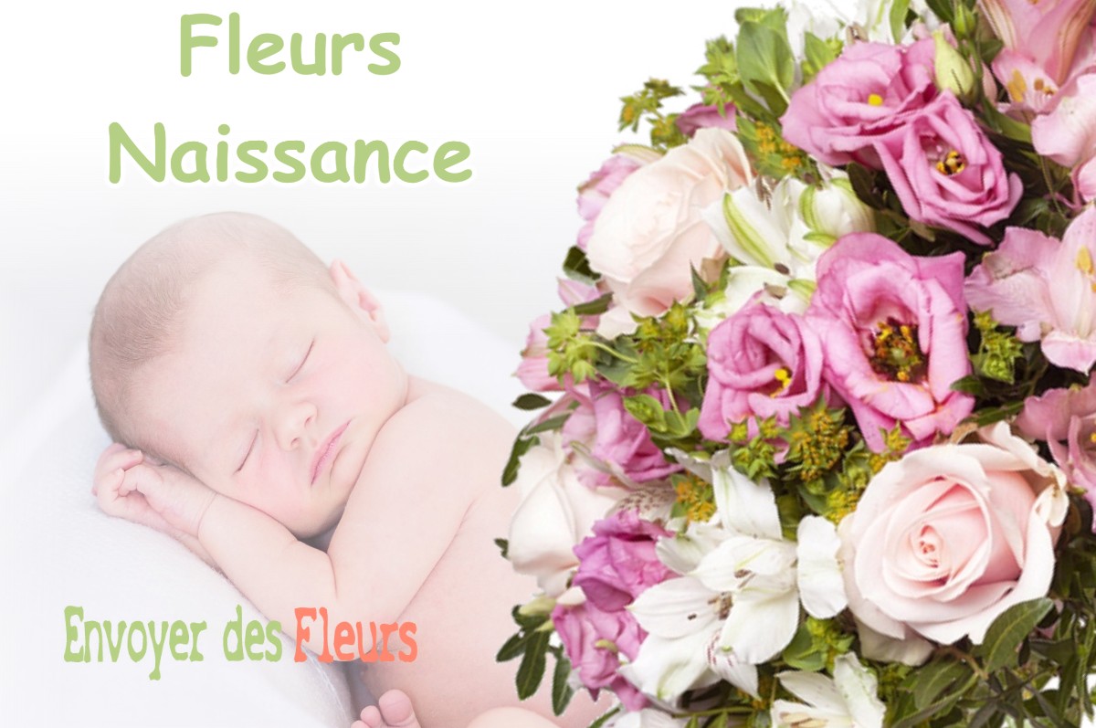 lIVRAISON FLEURS NAISSANCE à MOLPRE