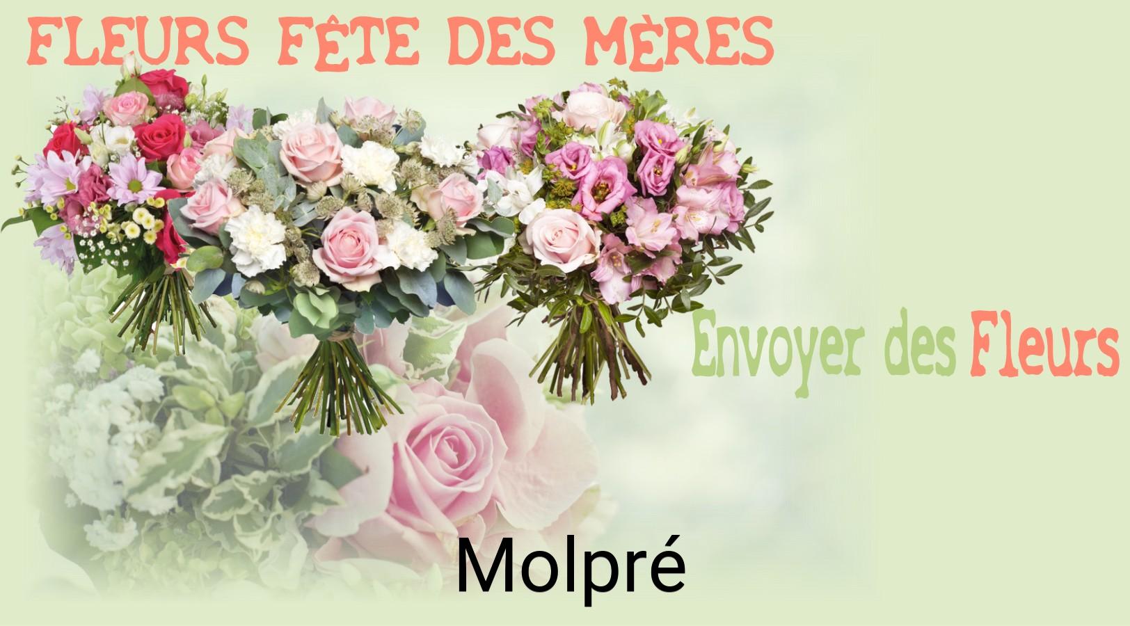 Bouquet de Fête des Mères livré à Molpré
